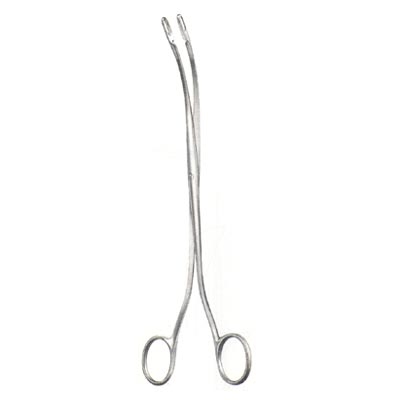 Gall Bladder Instruments